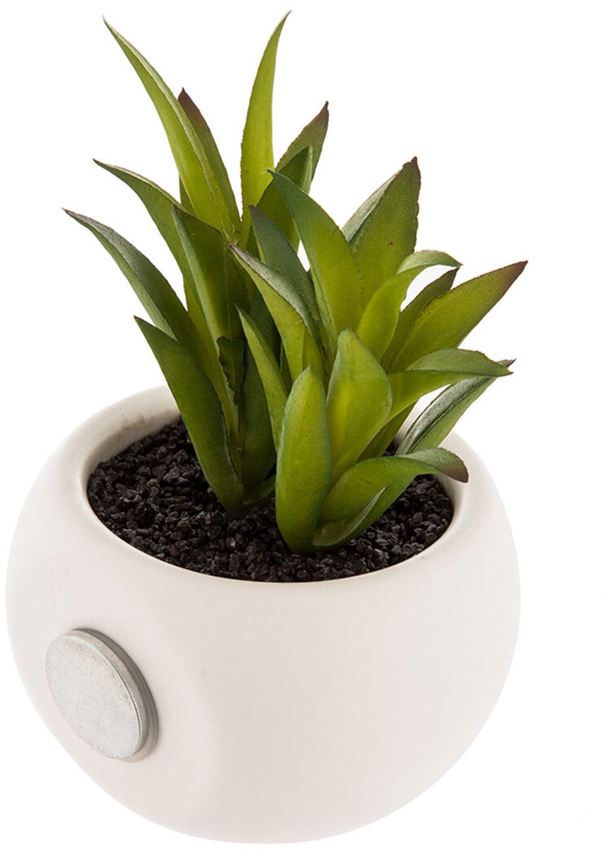 Imán decorativo para plantas Atmosphera PVC