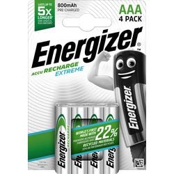 Elettrificatore a batterie ricaricabili estremo
