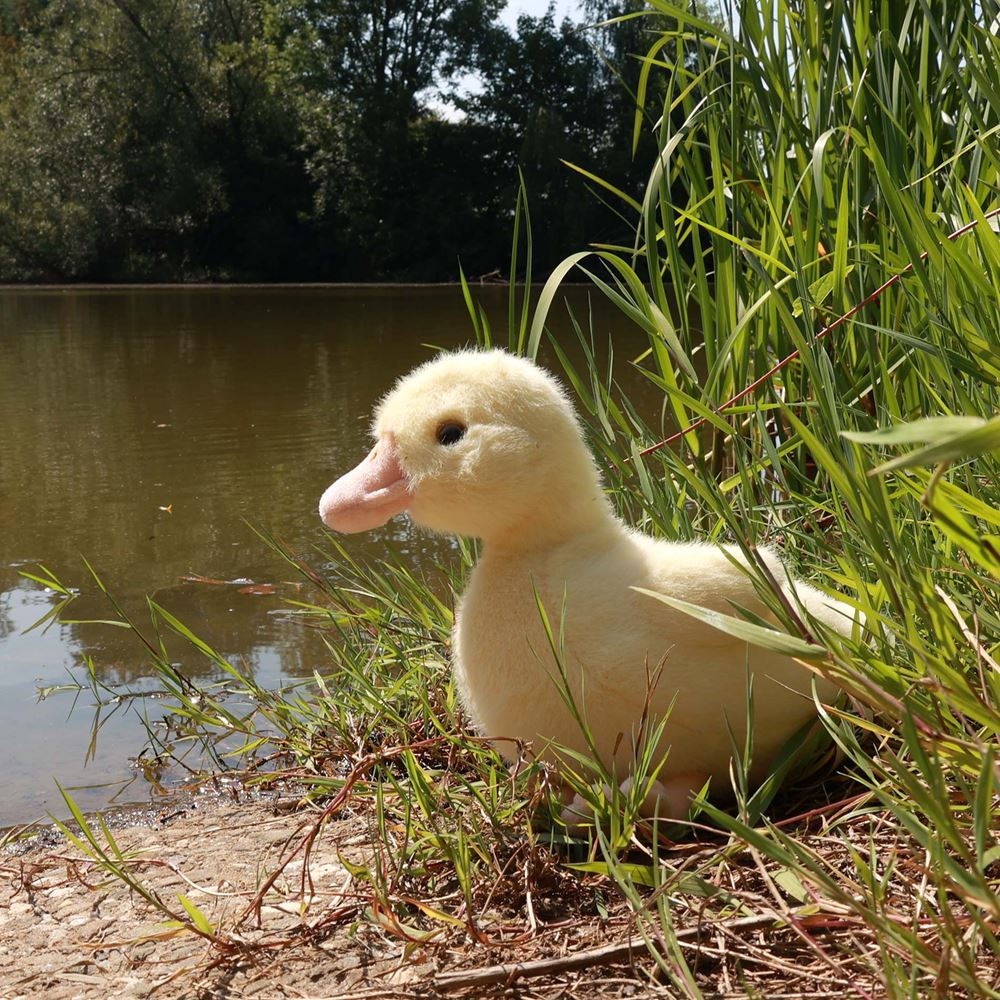 Papera di peluche 24 cm ecologica