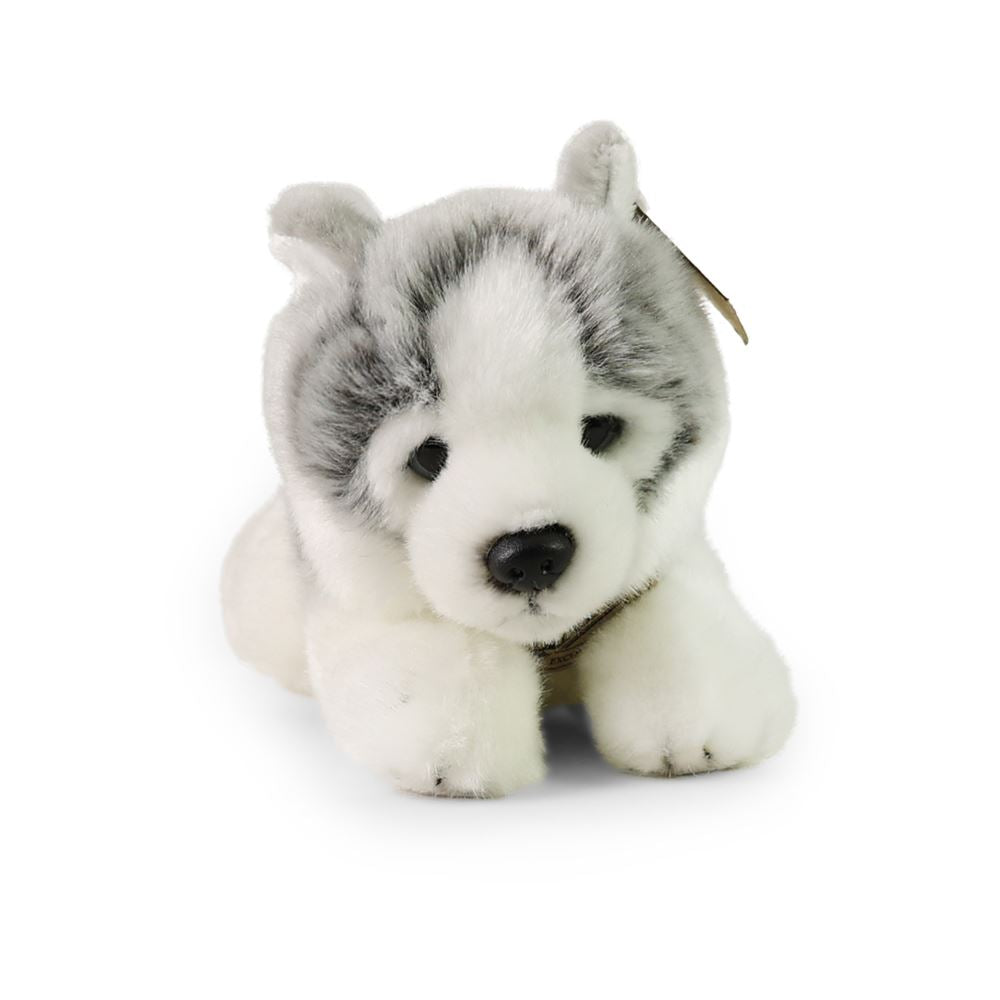 Peluche husky 24 cm ecologico
