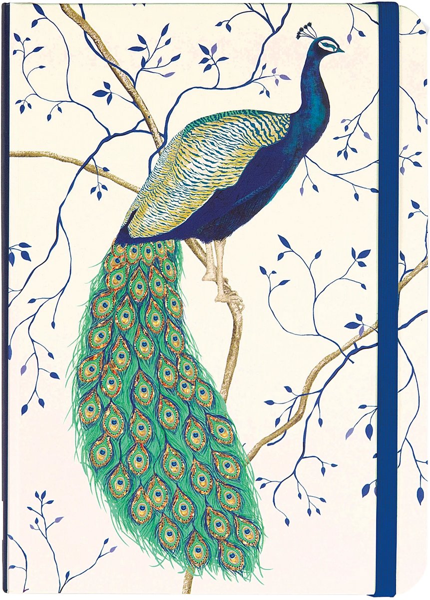 Peter pauper compacte notitieboek - peacock - met elastieksluiting - 13x18 cm