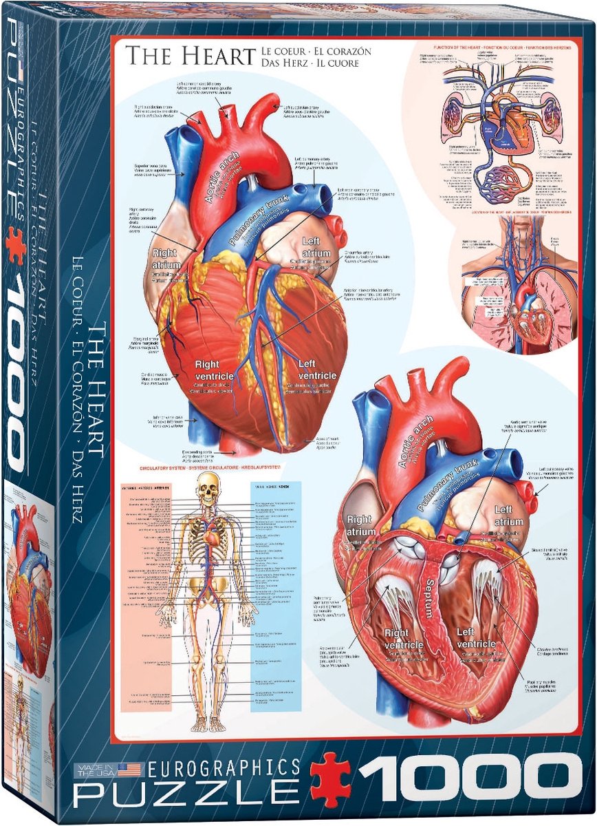 Eurographics - il cuore - 1000 pezzi 48×68 cm (l×a) - puzzle