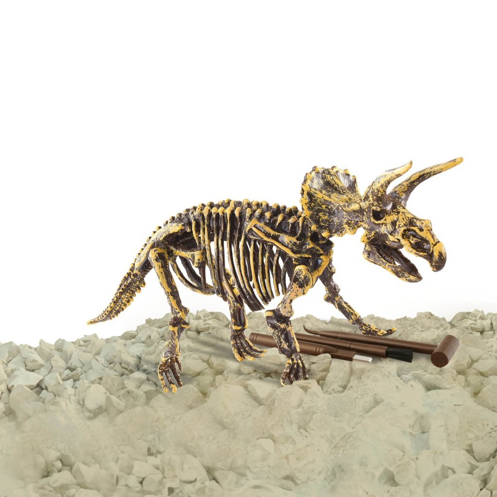 Dinobase Dinobase 3D Triceratops Skeleton