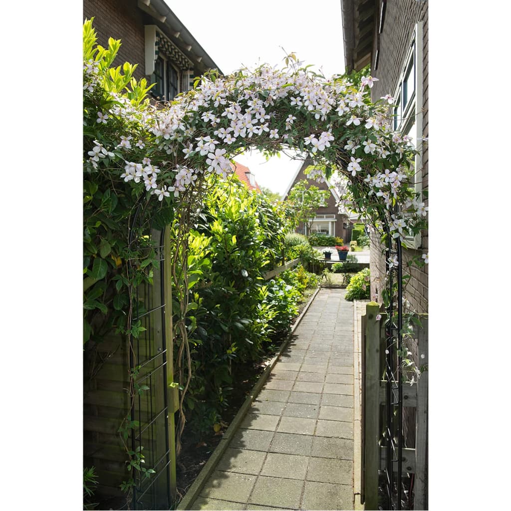 Nature Nature Garden Arch 229x38x113 CM Metal Black