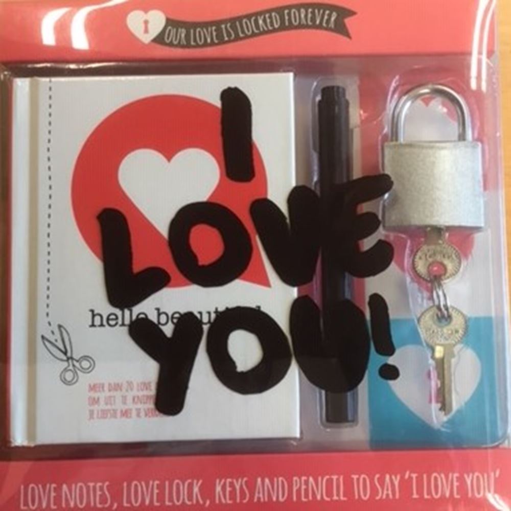 Liefdesbriefjes + slotje (6 st)