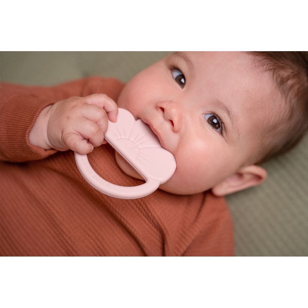 Piccolo massaggiagengive olandese in silicone fiore rosa