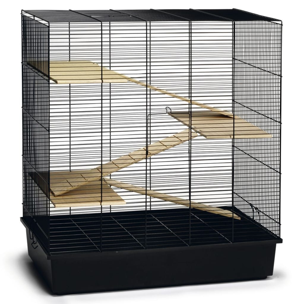 Beeztees Beeztees Roditore Cage Scooby 70x40x78 cm in metallo nero