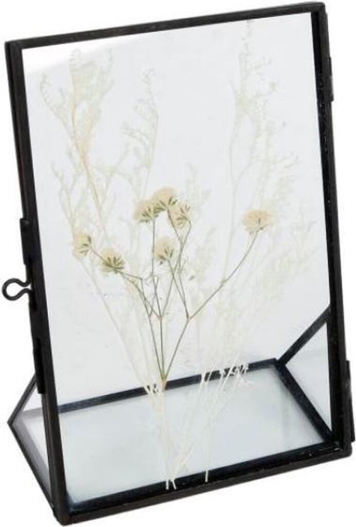 Van Manen Van Manen Foto Fiori secchi 11 x 16 cm Black in acciaio