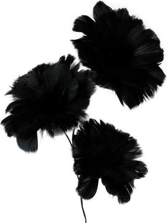 Regalos Amsterdam Gifts Feathers Amsterdam a 75 cm Negro