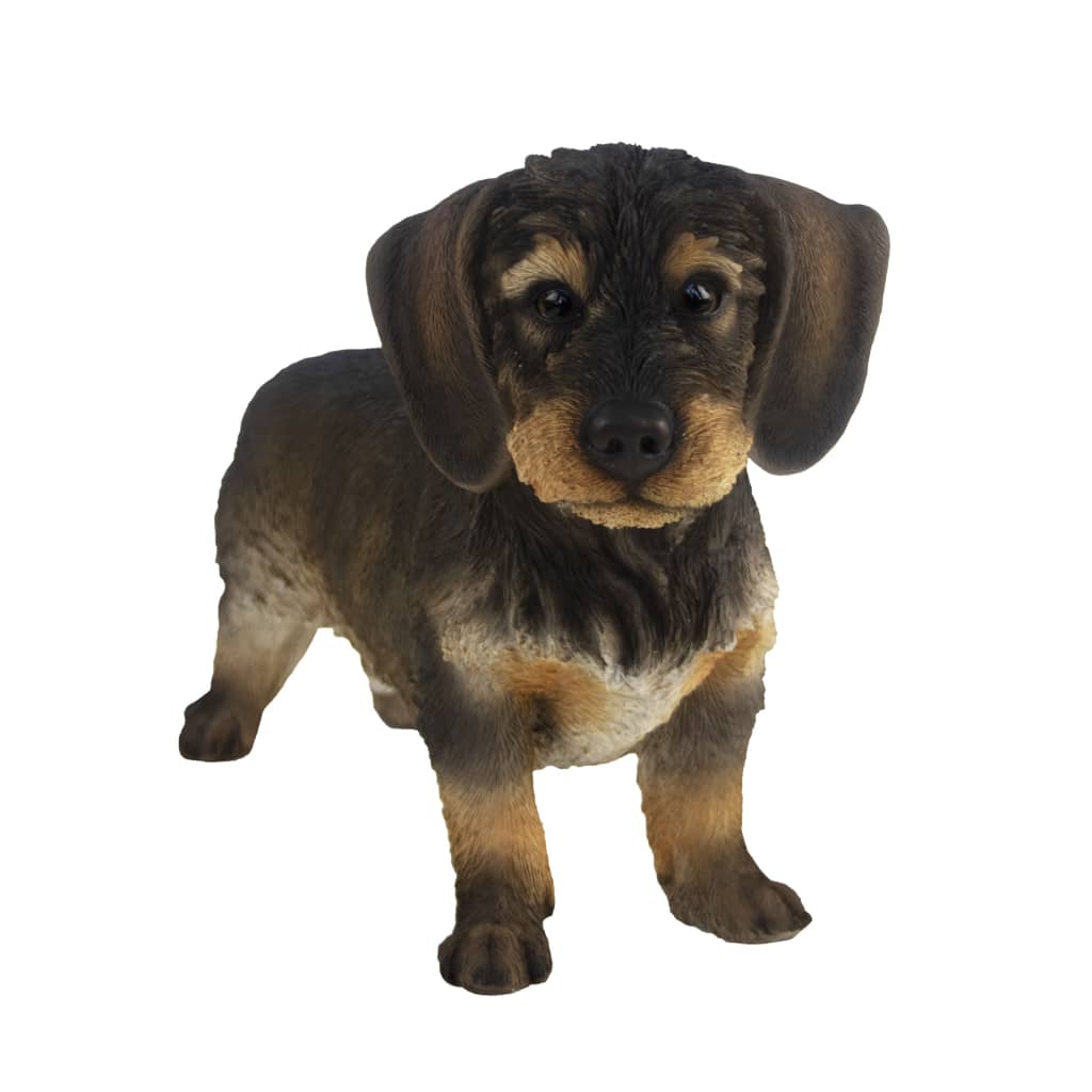 Design ESSCHERT ESSCHERT Diseño Rough -Haired Dachshund 50x15x27.8 cm