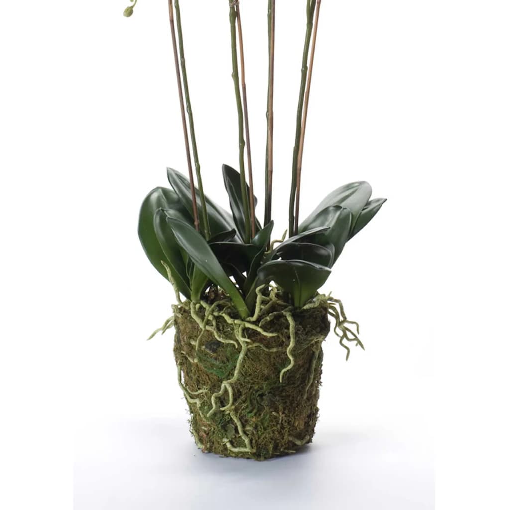 Orquídea de planta de arte de esmeralda con blancos de musgo 90 cm 20,355