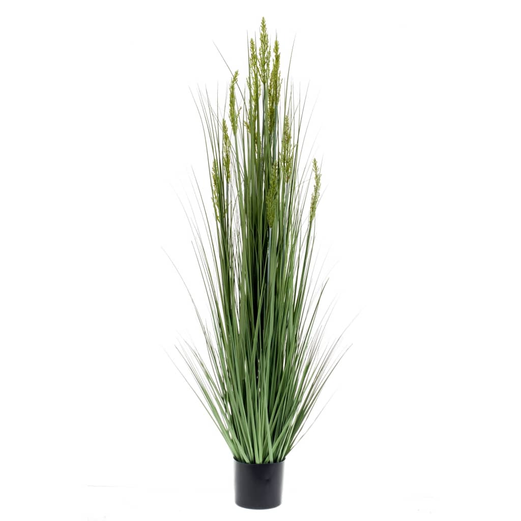 Esmeralda de arte esmeralda planta de grano de grano 150 cm