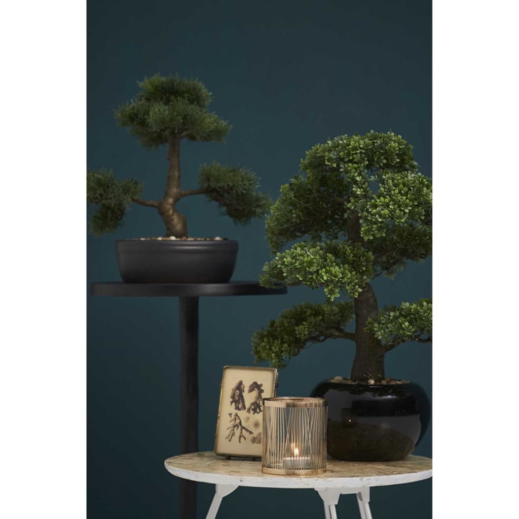 Smeraldo smeraldo art pianta ceder bonsai verde 32 cm 420001