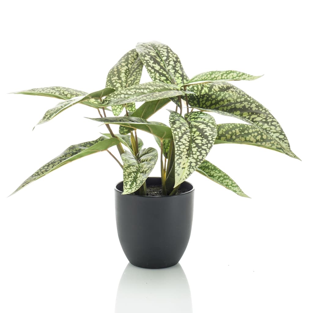 Planta de arte esmeralda esmeralda en puntos de maceta calthea 38 cm