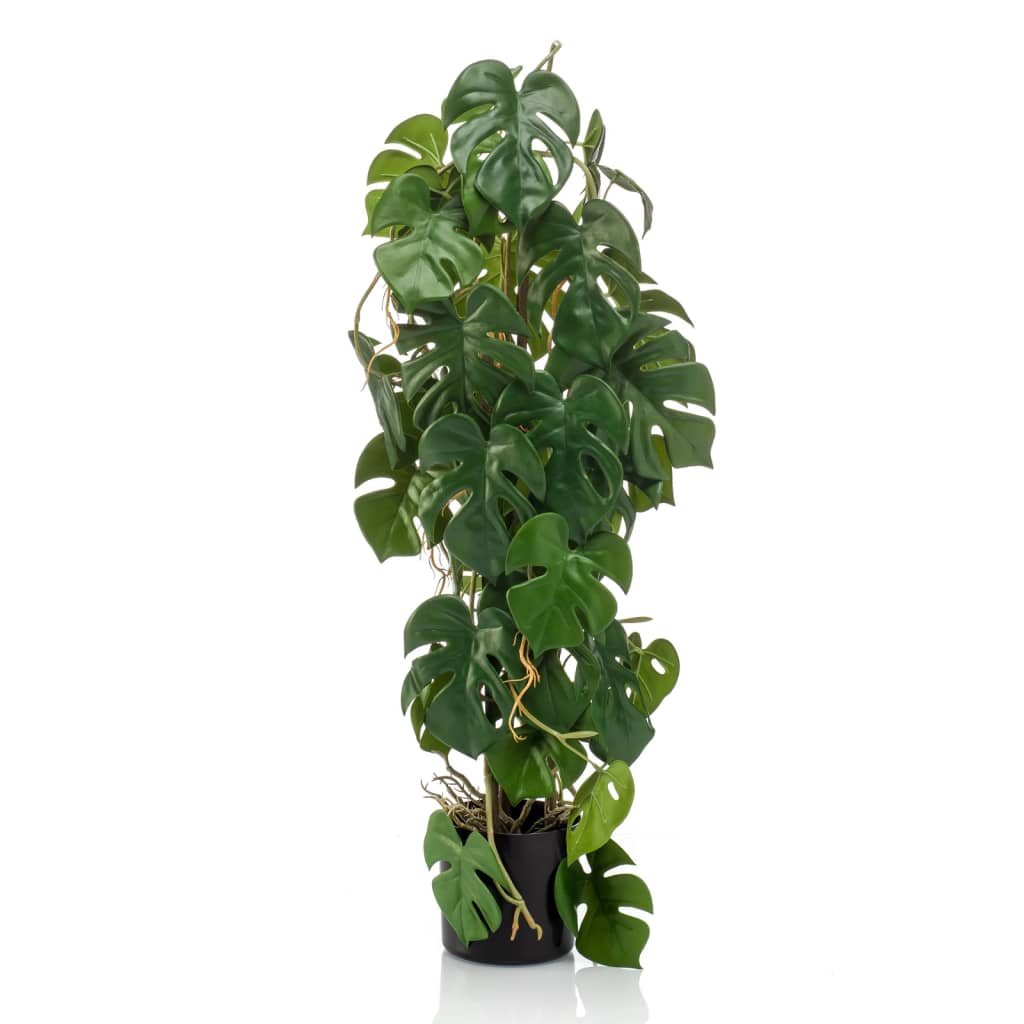 Planta de arte de esmeralda esmeralda en macetas monstruosas 75 cm