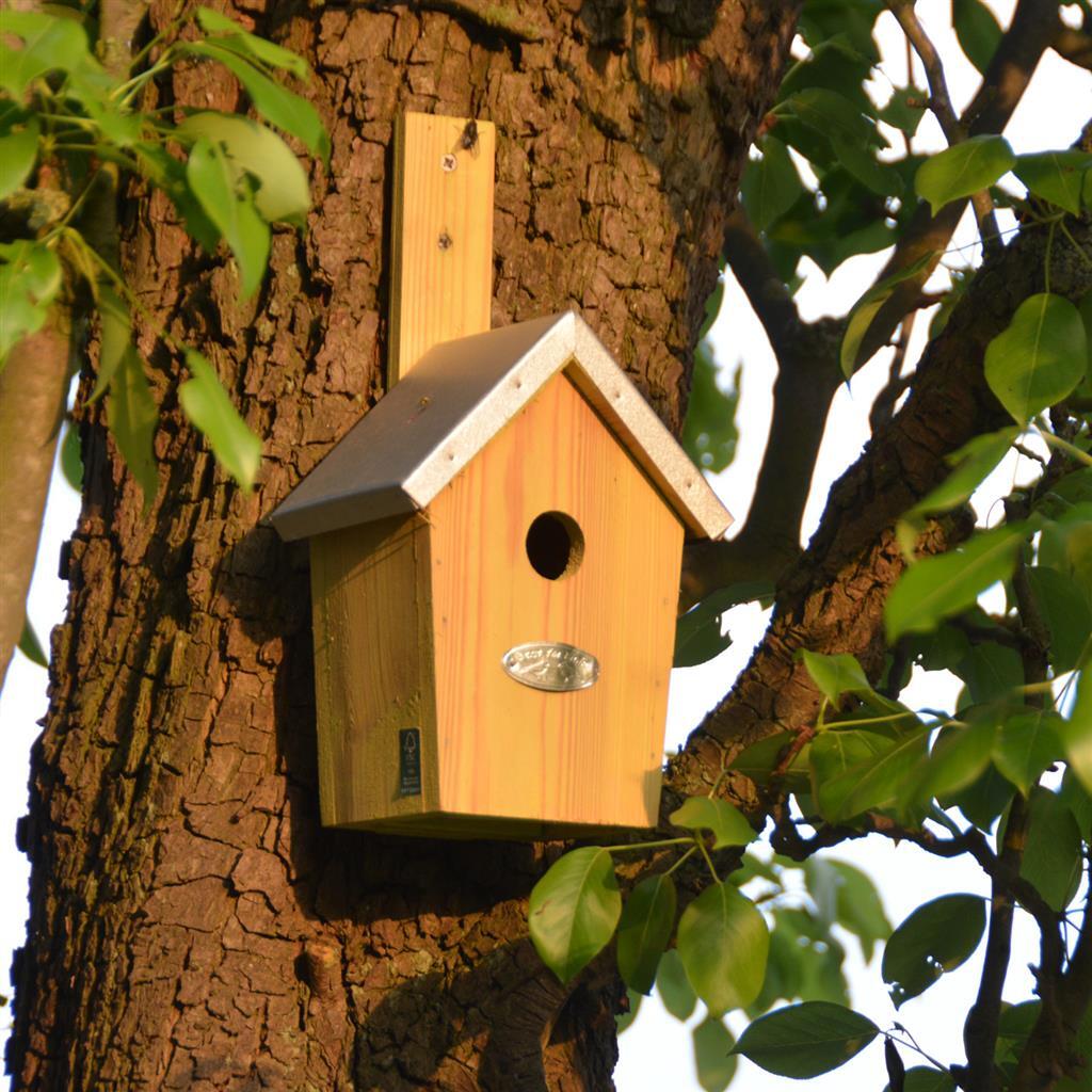 ESSCHERT Design Nest Box Green