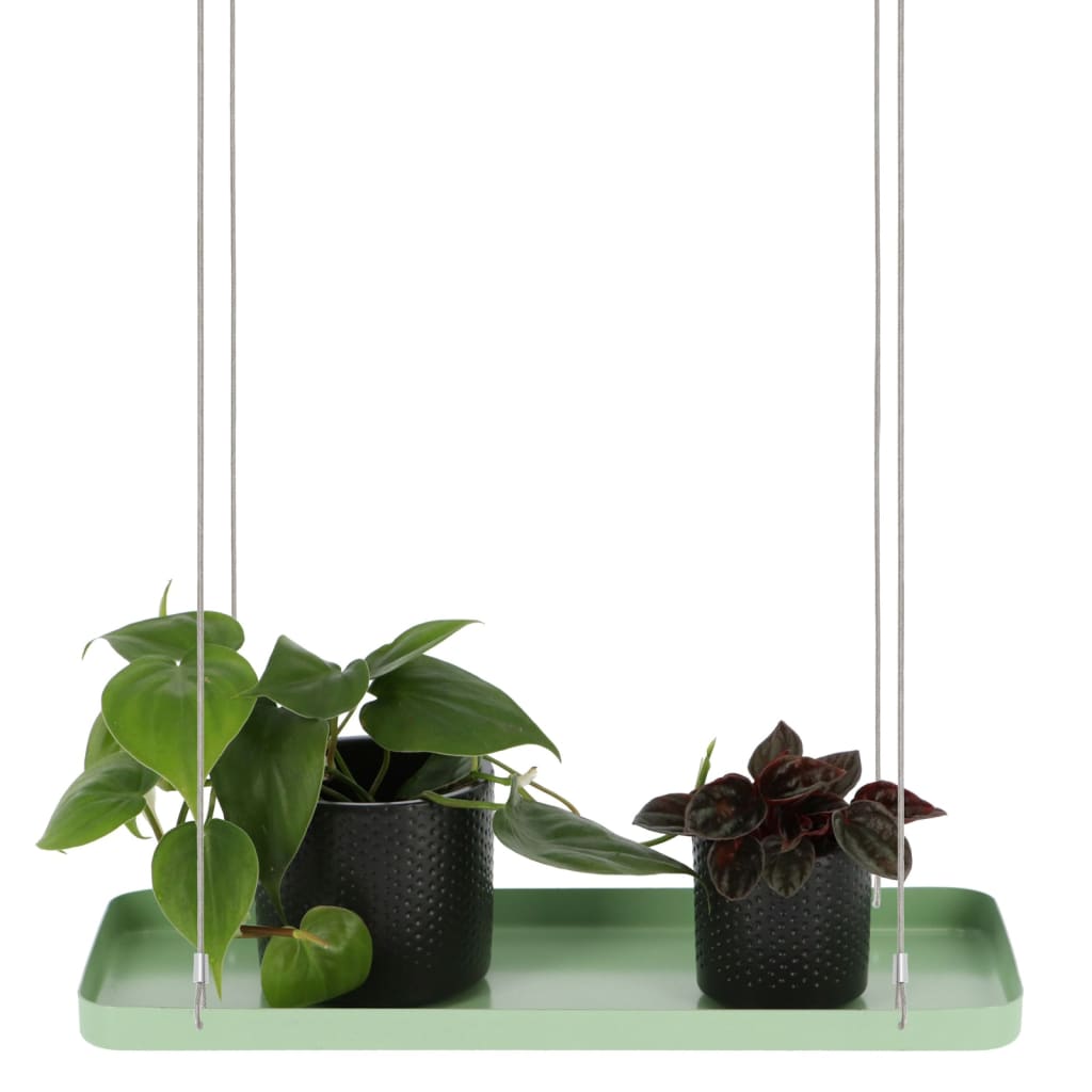 Design ESSCHERT ESSCHERT Diseño Planta Hanging Rectangular s verde