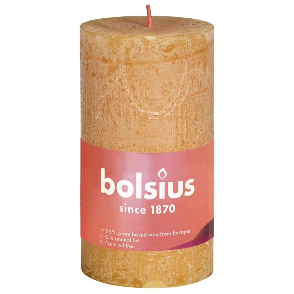 Bolsius Bolsius Stollen Shine 8 St Rustic 100x50 mm Miele giallo