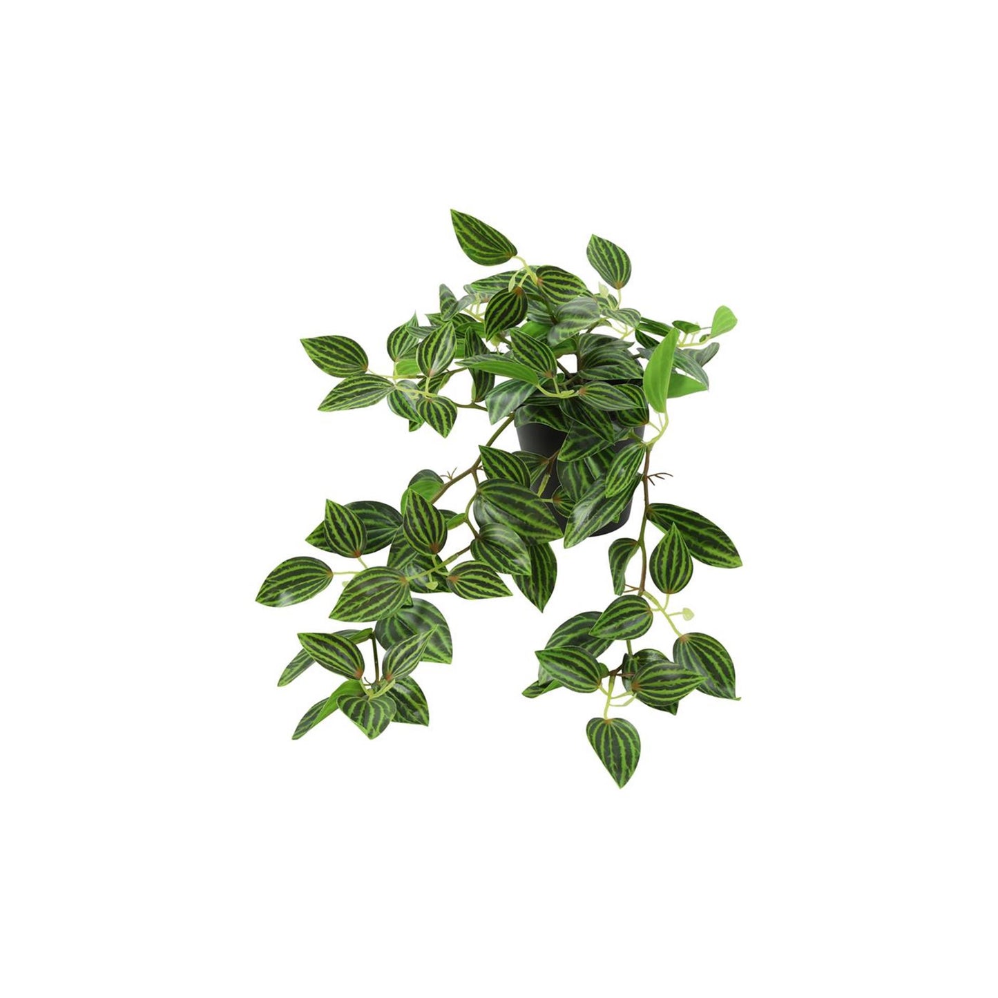 Pianta artificiale Countryfield da appendere verde peperomia