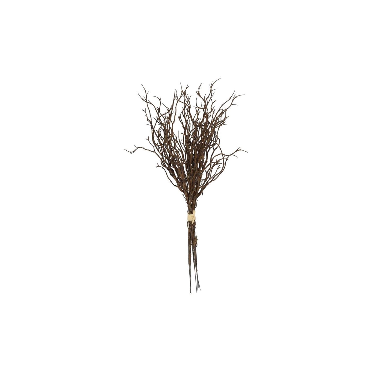 Countryfield myrica*6 marrone l9w9h47cm