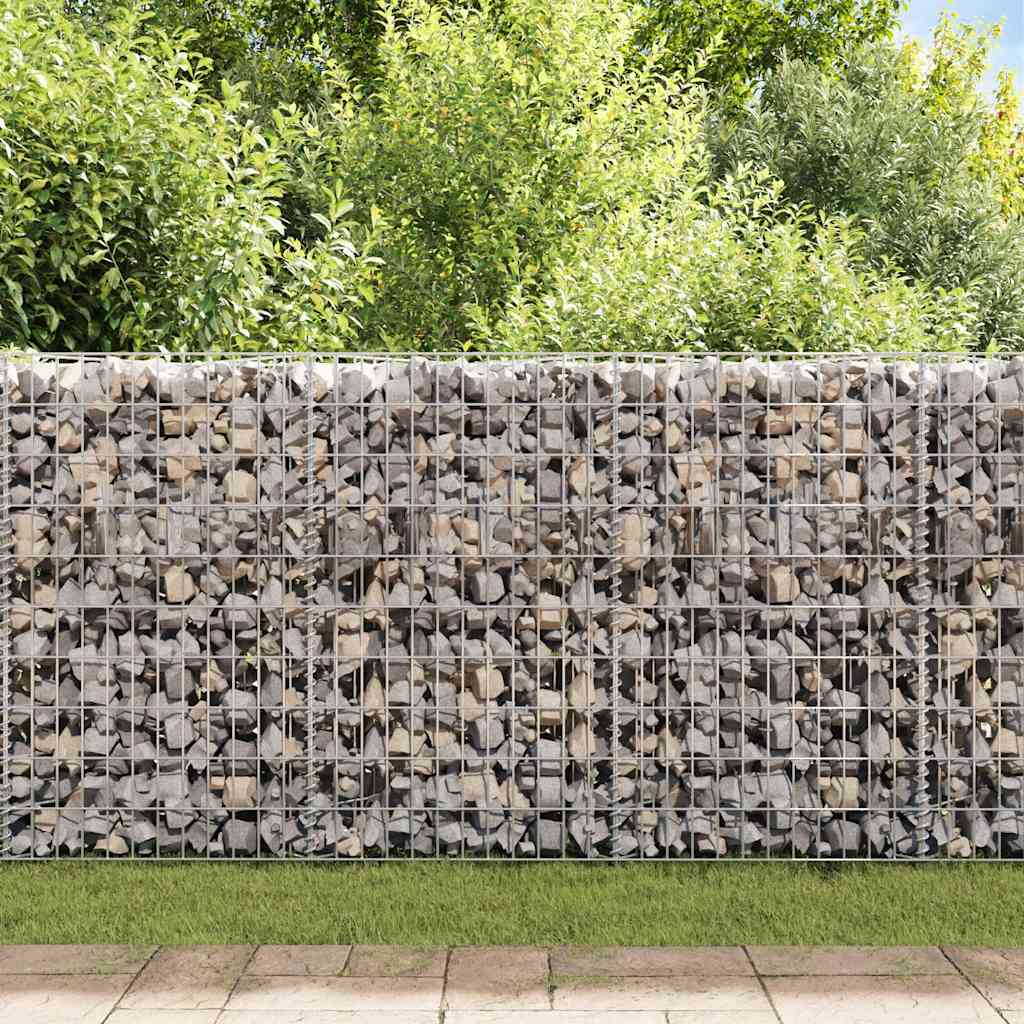 Vidaxl gabion mand 120x30x100 cm gegalvaniseerd staal