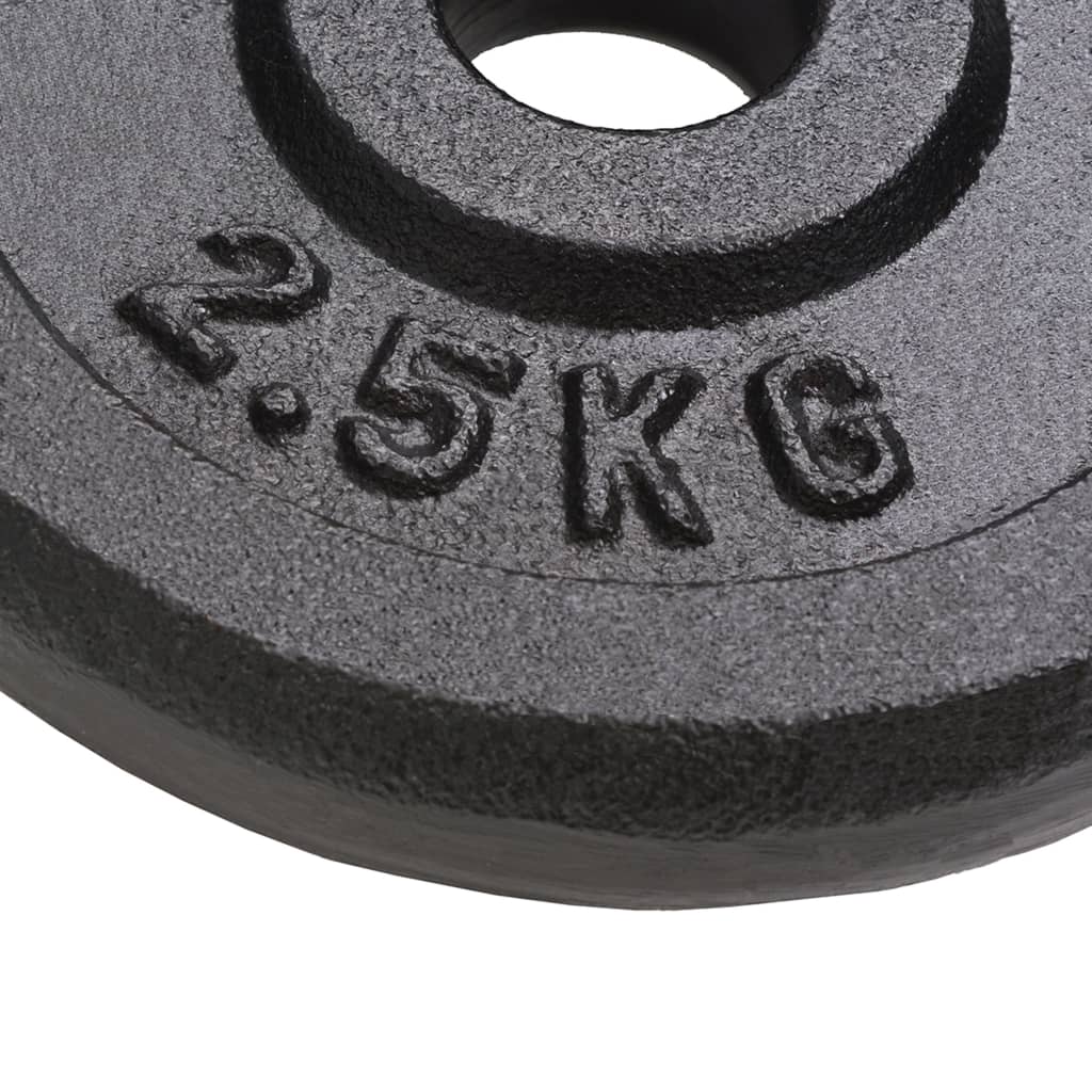 Vidaxl Halter Discs 8 ST 8x2,5 kg Cast in ghisa