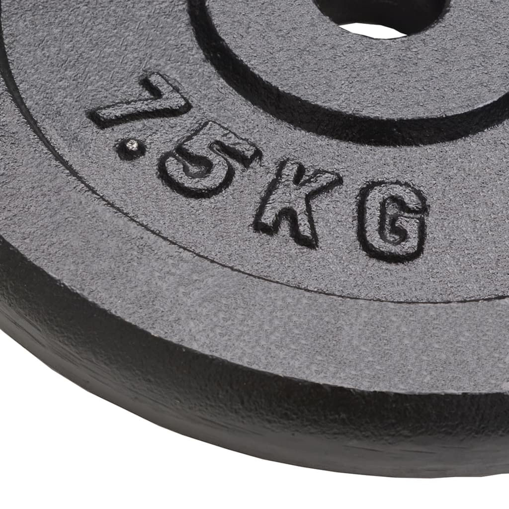 Vidaxl Halter Discs 4 St 4x7,5 kg ghisa