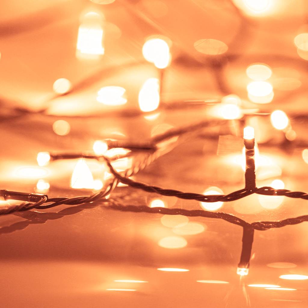 Vidaxl Light Cord con 400 LED con 8 effetti di luce 40 m bianchi caldi