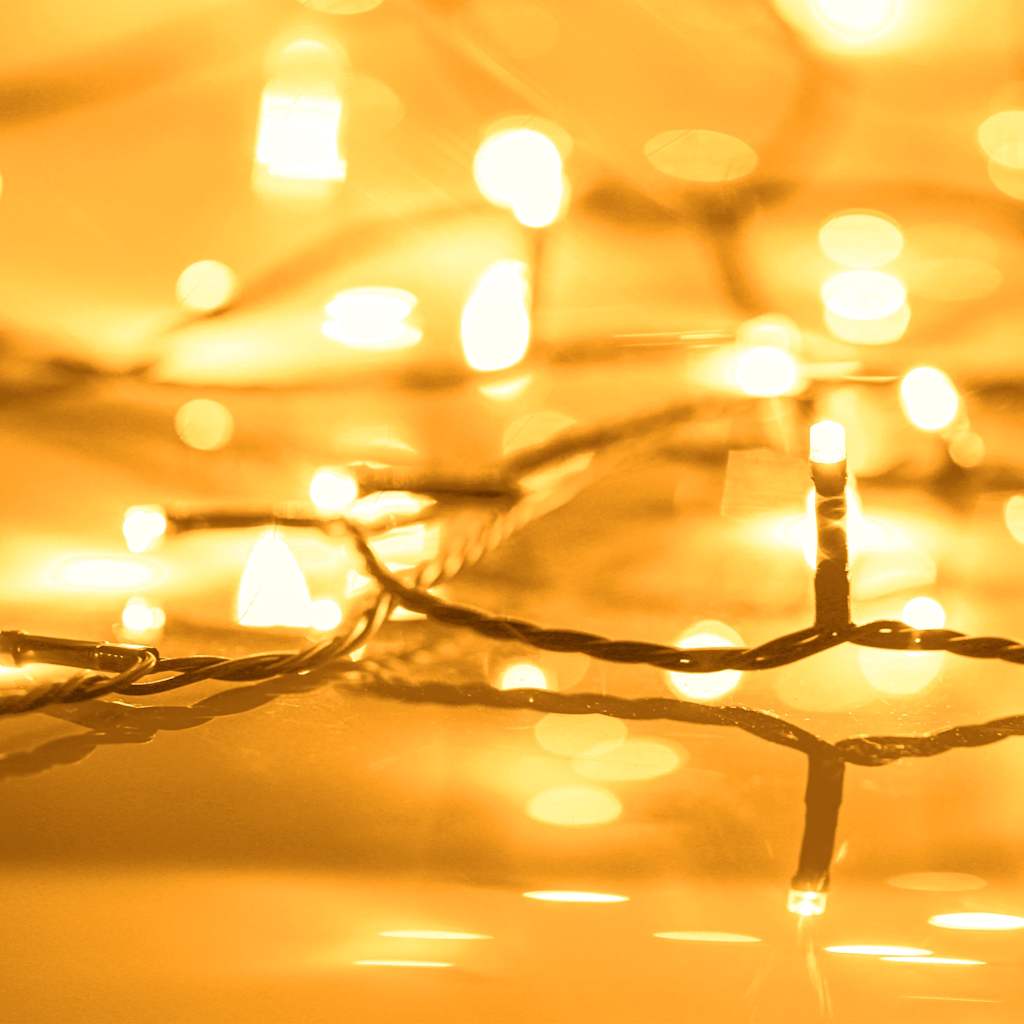 Vidaxl lichtsnoer met 600 led's met 8 lichteffecten ip44 60 m warmwit