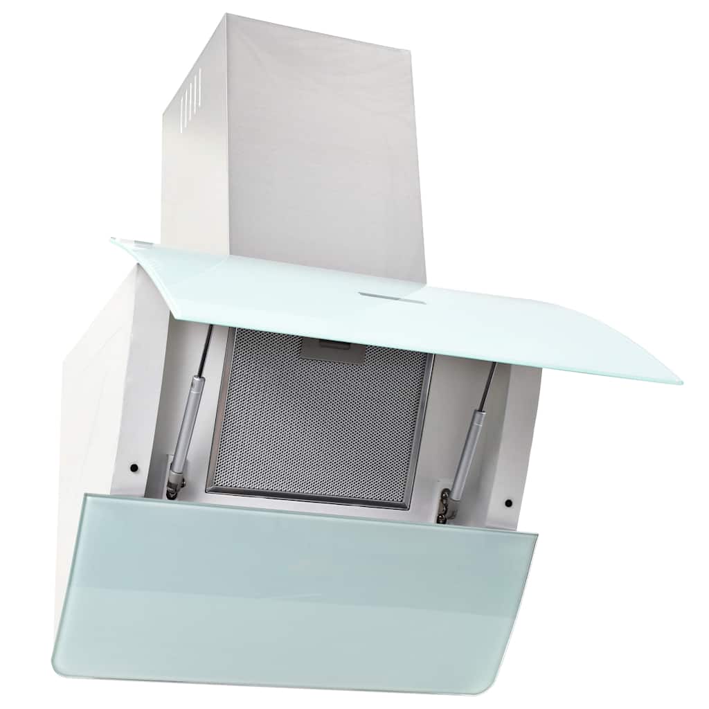 Vidaxx campana extractora de pared 756 m³ h 60 cm acero inoxidable blanco