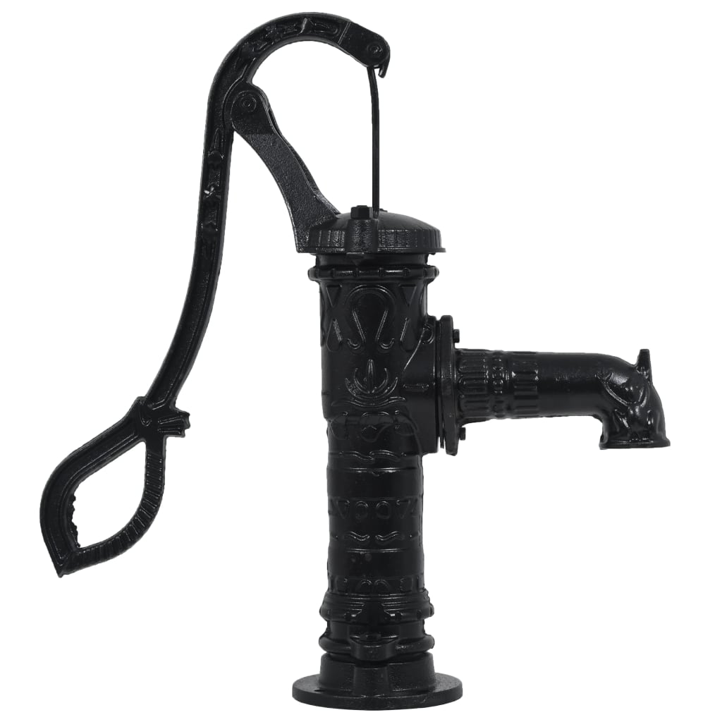 Pompa dell'acqua da giardino Vidaxl con ghisa standard