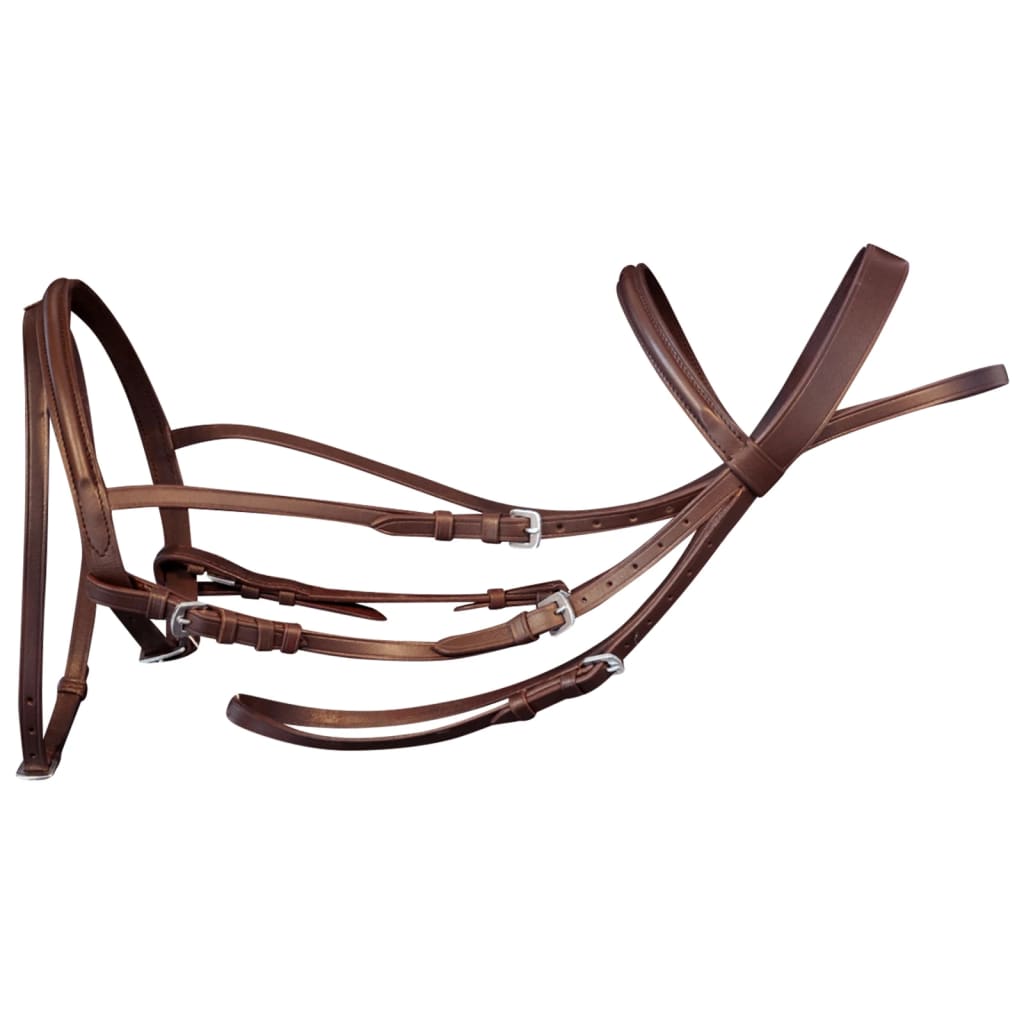 Vidaxl Bridle Leather con banda nasal combinada, riendas y mazorca marrón bits