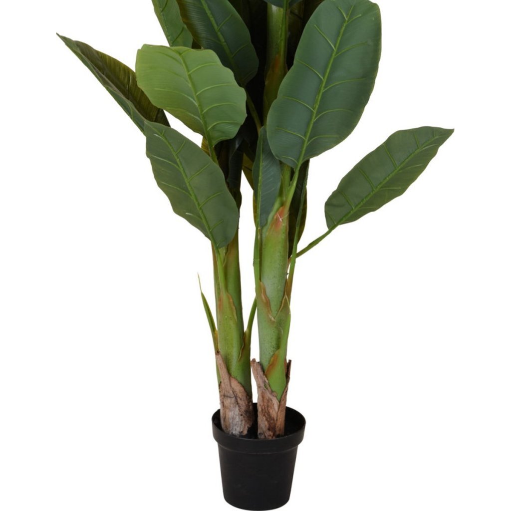 Pianta artificiale banano altre marche 80x165 cm verde