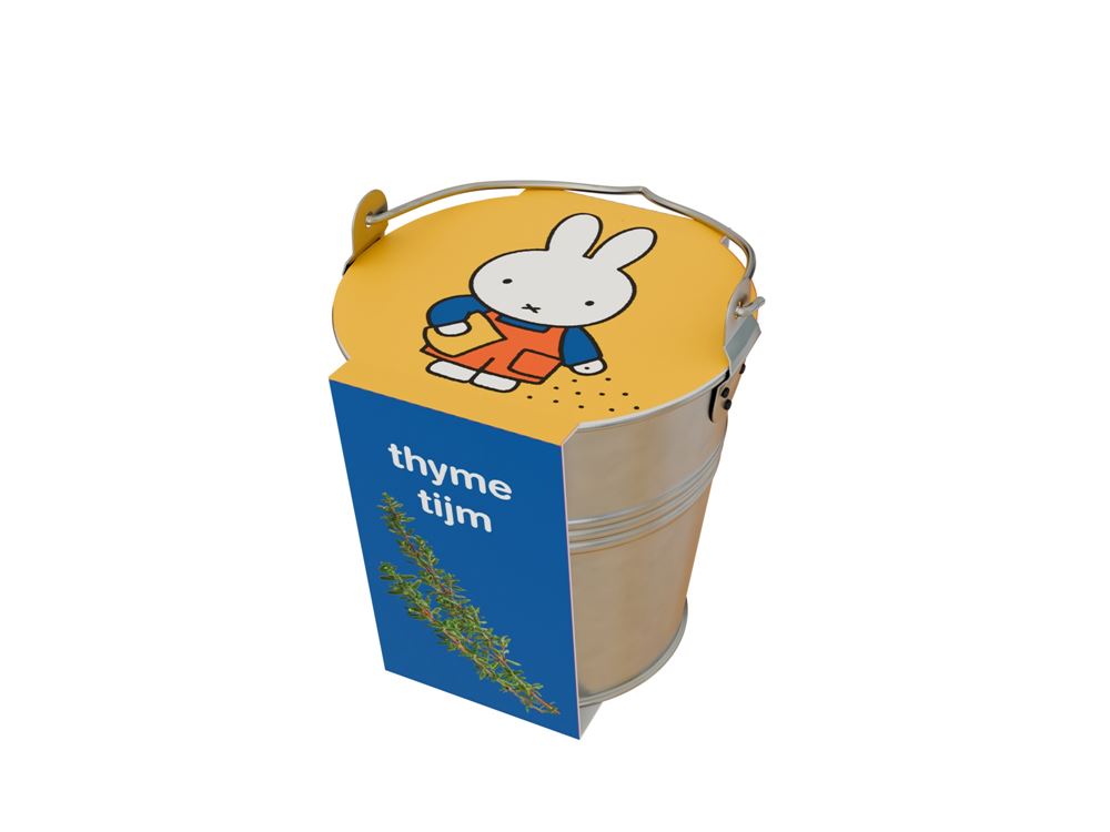 Erbe Miffy in un secchio di zinco di timo