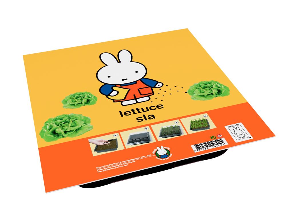Kit de cultivo de hierbas Miffy lechuga.