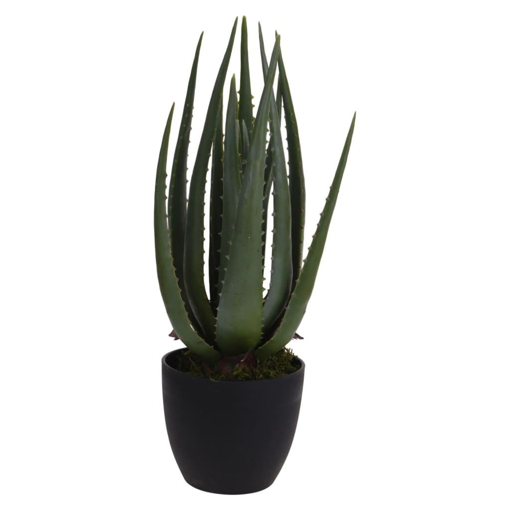 PROGARDEN PROGARDEN PIANTA ARTICIFICA IN POT ALOE VERA 25X45 CM