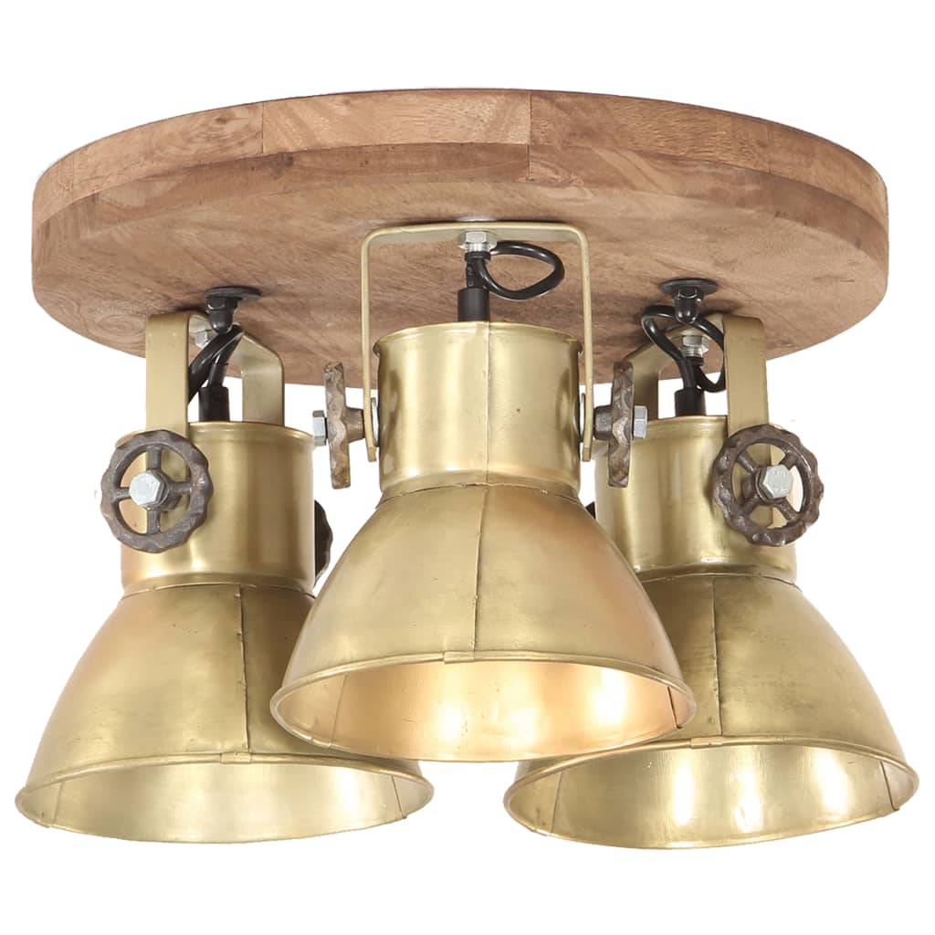 Vidaxl Lampada del soffitto industriale 25 W E27 42x27 cm Ottone