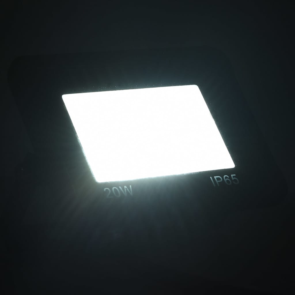 Vidaxl Spotlights 2 St LED 20 W Cold White