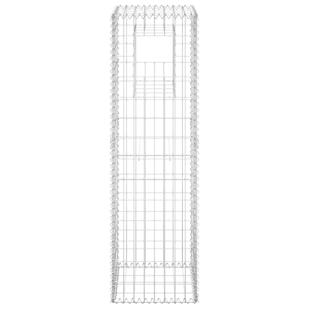 Vidaxl Schanskorf Polo 40x40x140 cm Iron