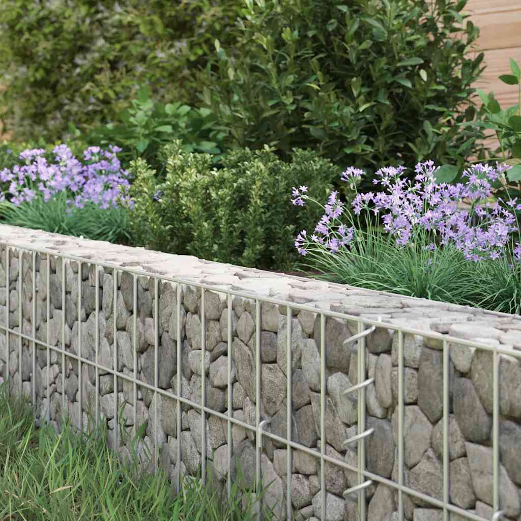 Vidaxl Gabion Planter elevado 100x100x20 cm de acero galvanizado