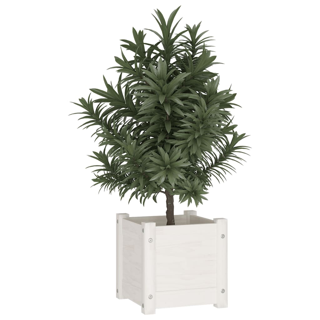 Vidaxl Planning Box 31x31x31 cm de pino sólido White