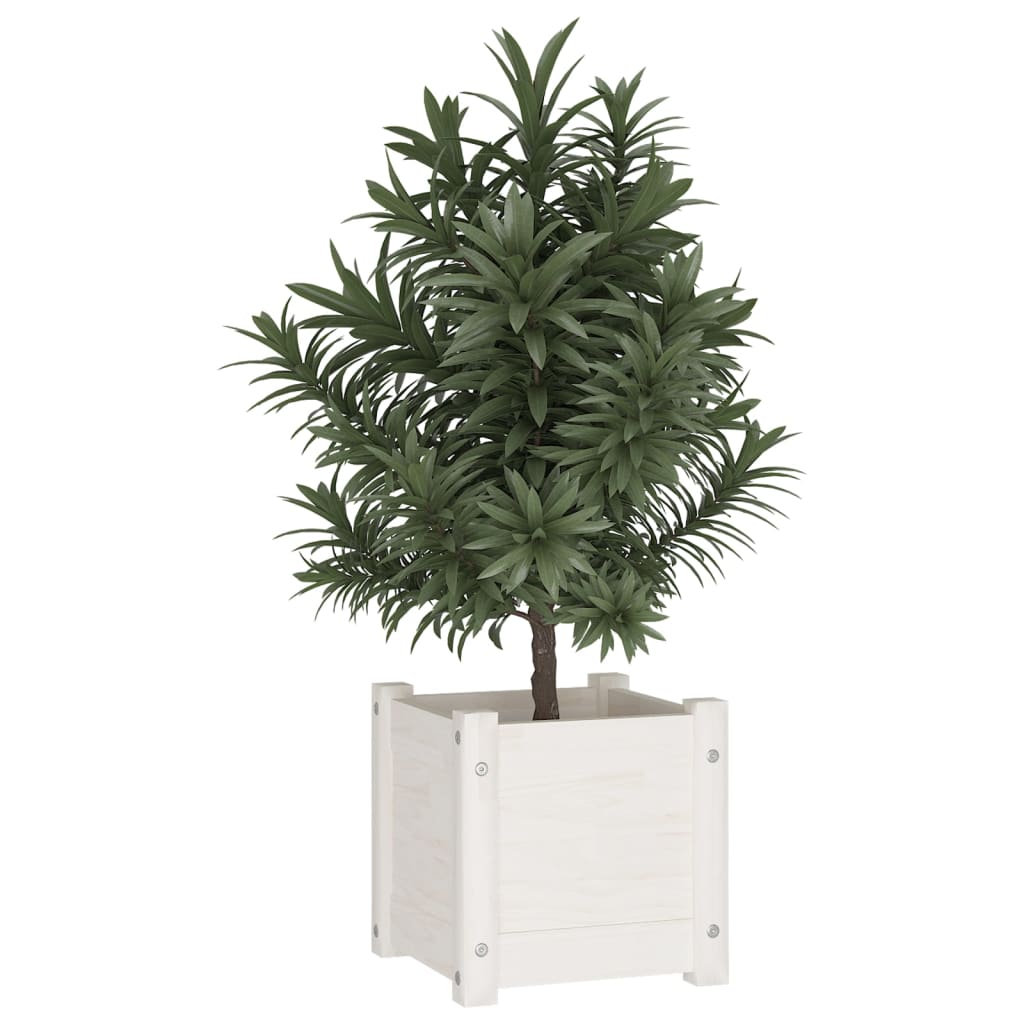 Vidaxl Fiorsters 2 St 31x31x31 cm Pino solido bianco