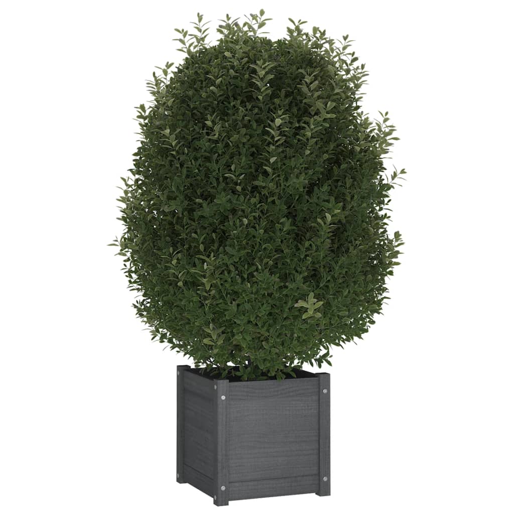 Vidaxl fioriere 2 ST 40x40x40 cm Pinna solido