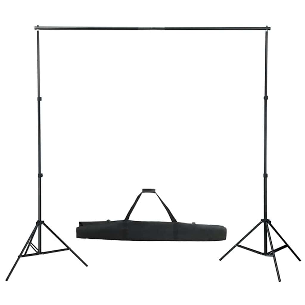 Vidaxl Photo Studio Conjunto de iluminación y fondo