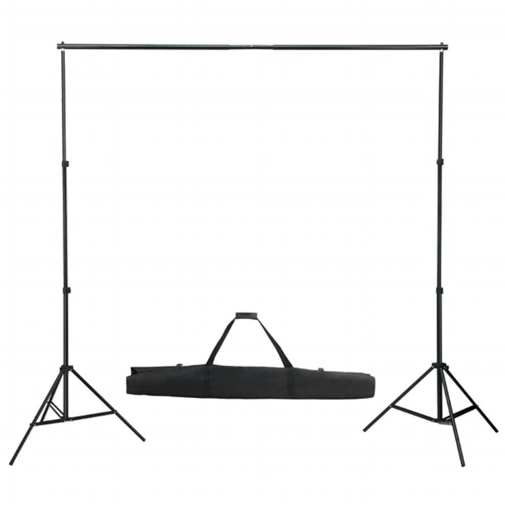 Vidaxl Photo Studio Set con set di illuminazione e sfondo