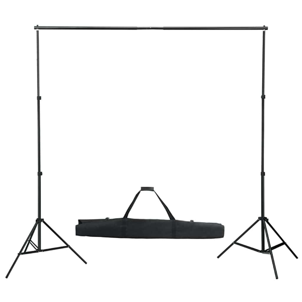 Vidaxl Photo Studio Set con set di illuminazione, sfondo e riflettore