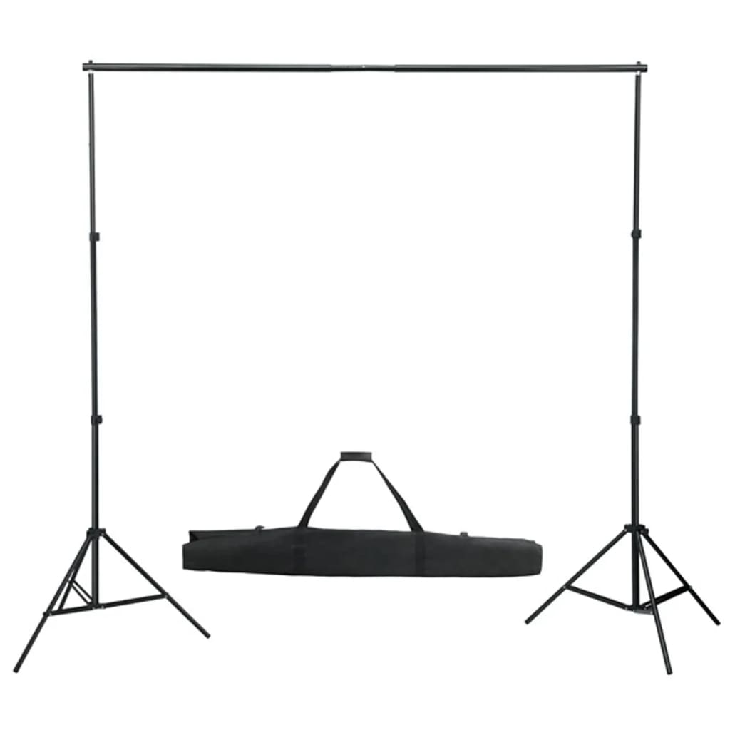 Vidaxl Photo Studio Set con set di illuminazione, sfondo e riflettore