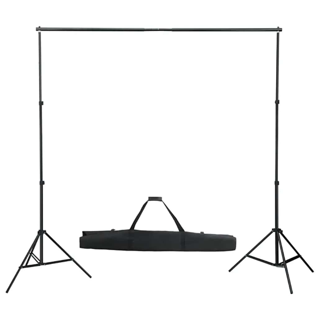 Vidaxl Photo Studio Set con set di illuminazione, sfondo e riflettore