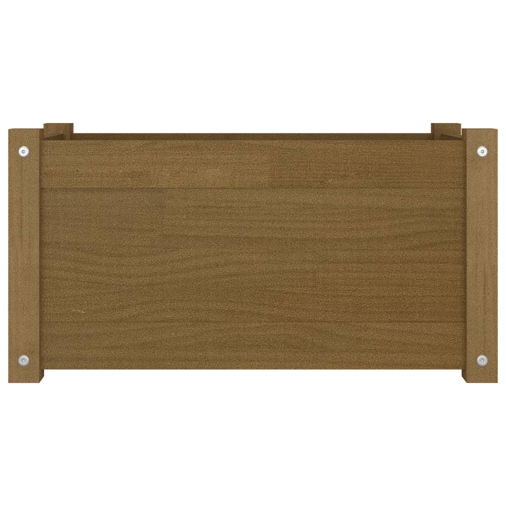Casella di pianificazione Vidaxl 60x31x31 cm Miele di pino solido marrone