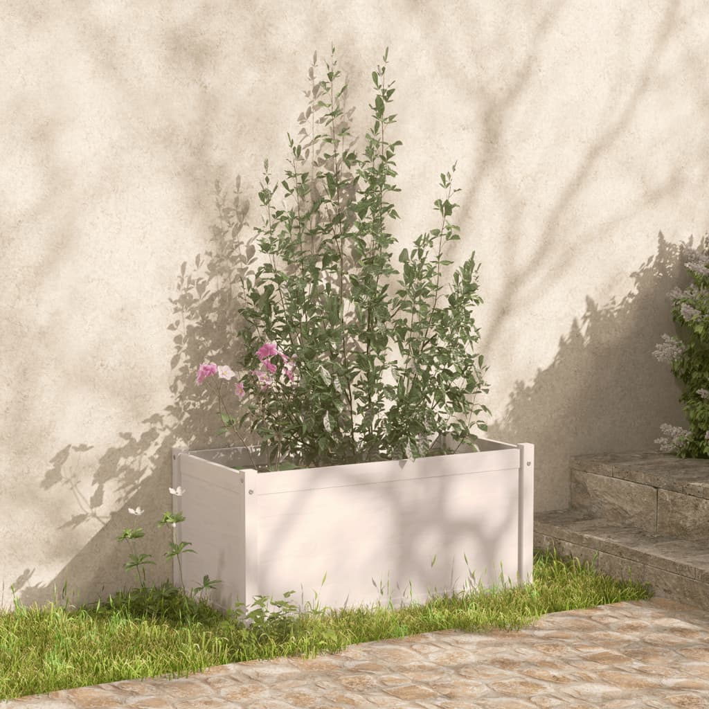 Vidaxl Fiorsters 2 St 100x50x50 cm Pino solido